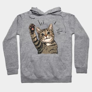 Cat Paw High Five Hoodie